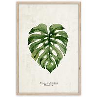 Bild Framepick 50x70 FP037 Monstera