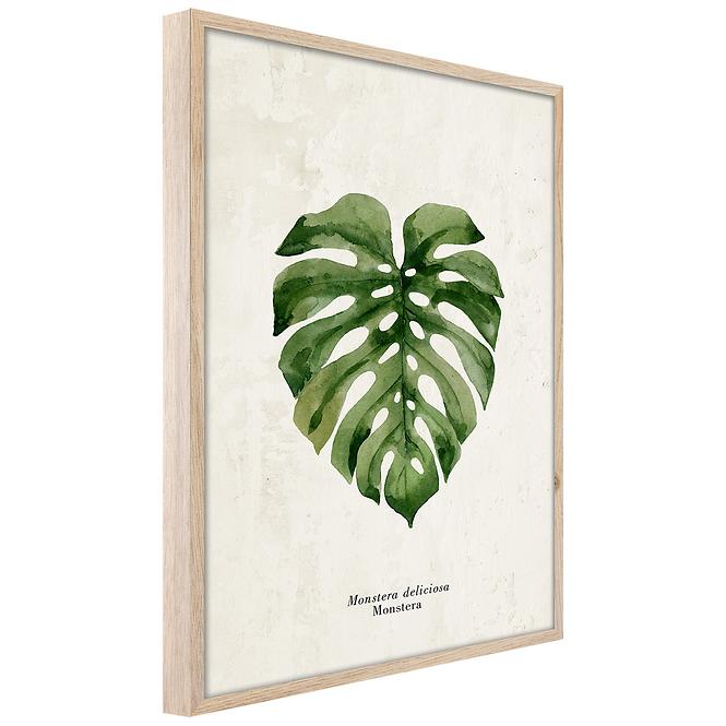 Bild Framepick 50x70 FP037 Monstera