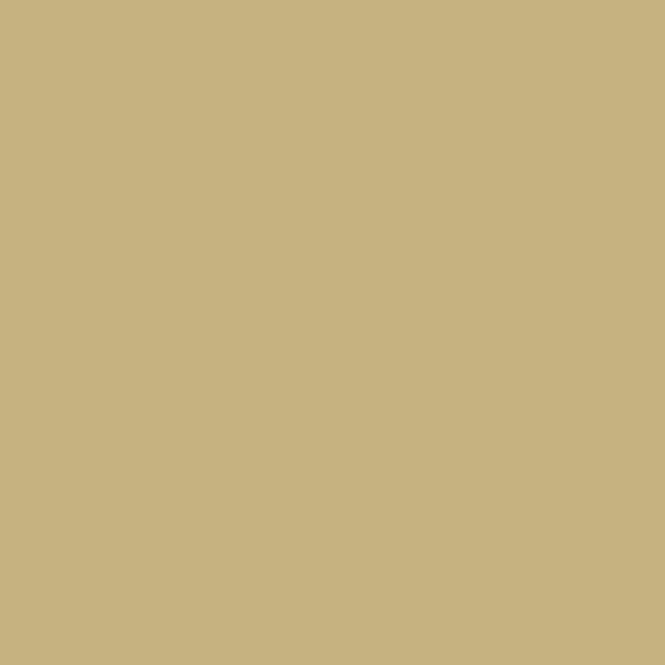 Ekokryl Matt 0208 0,6l Beige