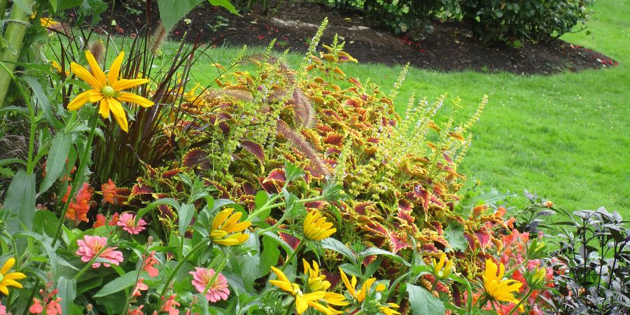 Planung ist ein wesentlicher Bestandteil einer gelungenen Gartengestaltung mit Stauden. Wo soll man anfangen? Ein praktischer Leitfaden zur Gartenplanung 