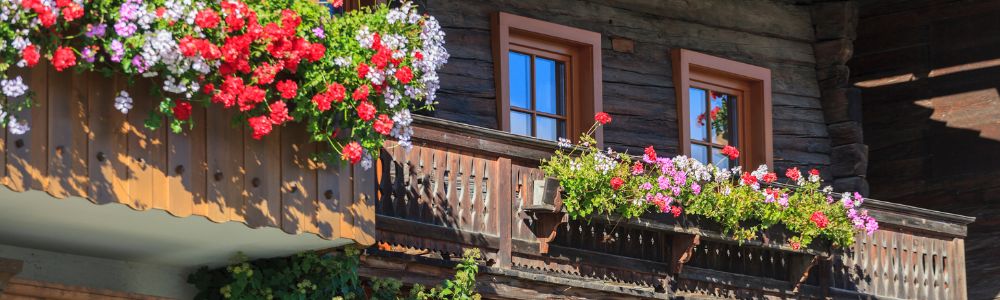 Blumenkästen für Balkon - eBaumax.de