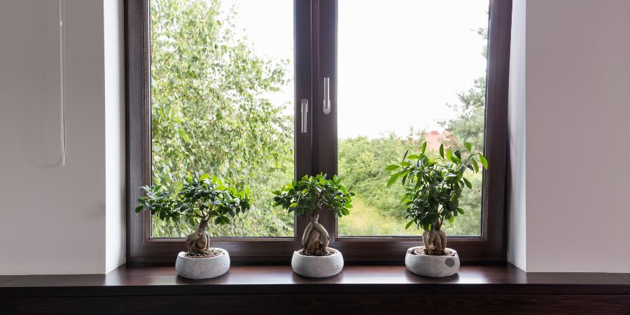 Luftige oder massive, schwerere Vorhänge? Die moderne Anordnung der Fenster ist das Hauptelement der Innenarchitektur