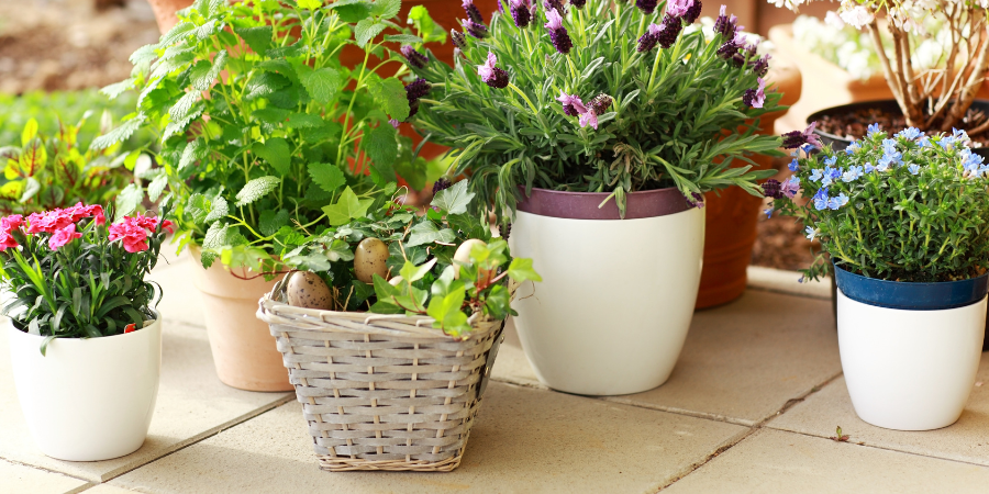 Die modischsten Gartenblumentöpfe für Balkon und Terrasse. Stehend oder hängend? Welche Topfarten sind geeignet? 