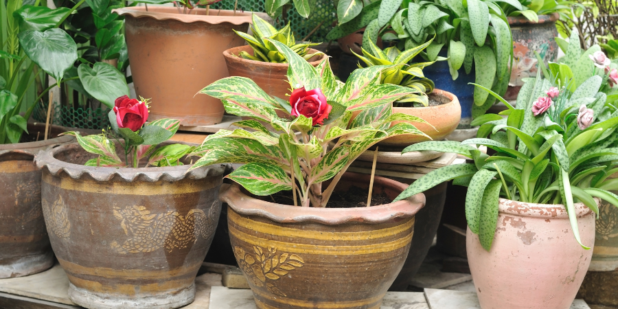 Blumenständer und Geländer-Blumenkästen. Modische Blumentöpfe für den Außenbereich, die den Raum erhellen 