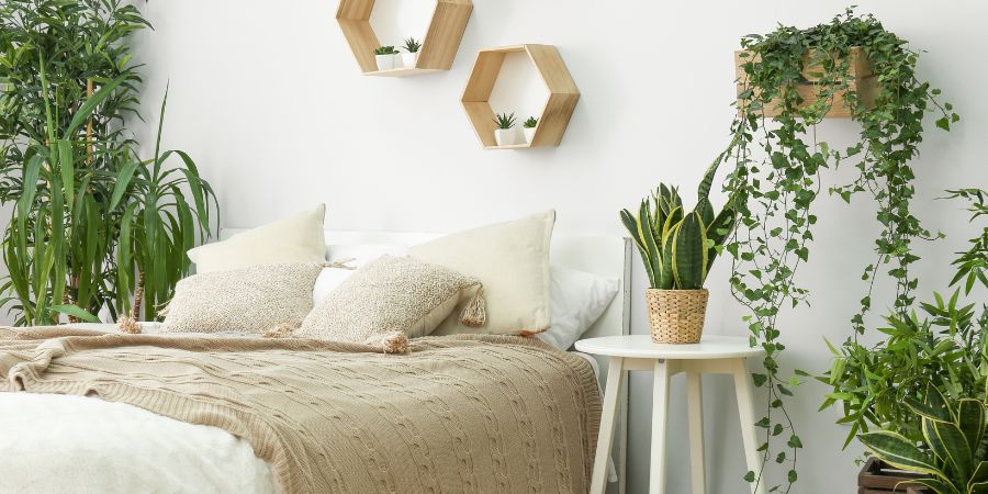 Welche Zimmerpflanzen für das Schlafzimmer kaufen?