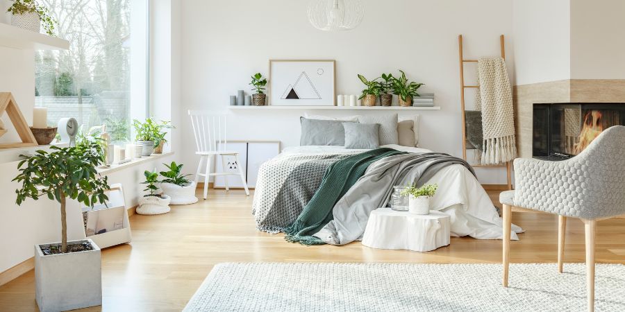 Pflanzen zur Reinigung der Luft im Schlafzimmer, also Topfblumen für eine gesunde Umgebung