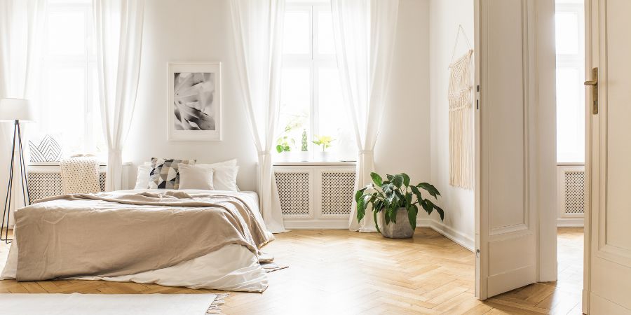 Topfpflanzen für das Schlafzimmer – welche Pflanzen für das Schlafzimmer wählen? 